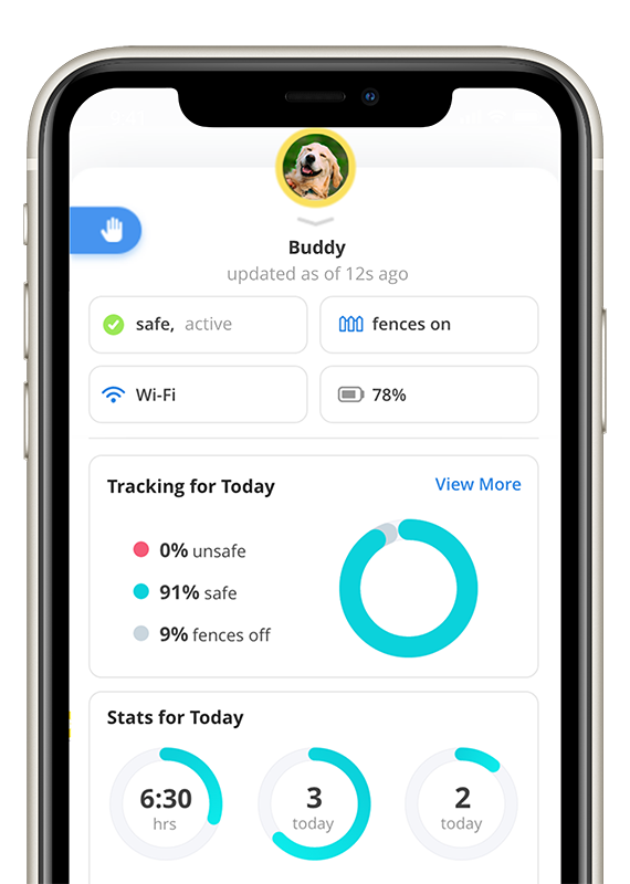 Buddy-Activity-Screen-iphone11-short