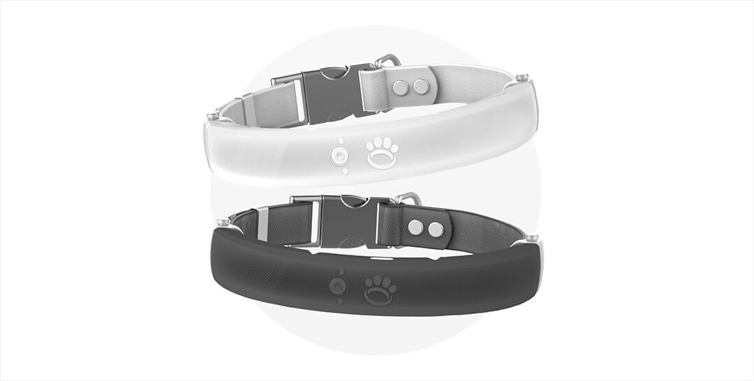 halo collar cesar millan